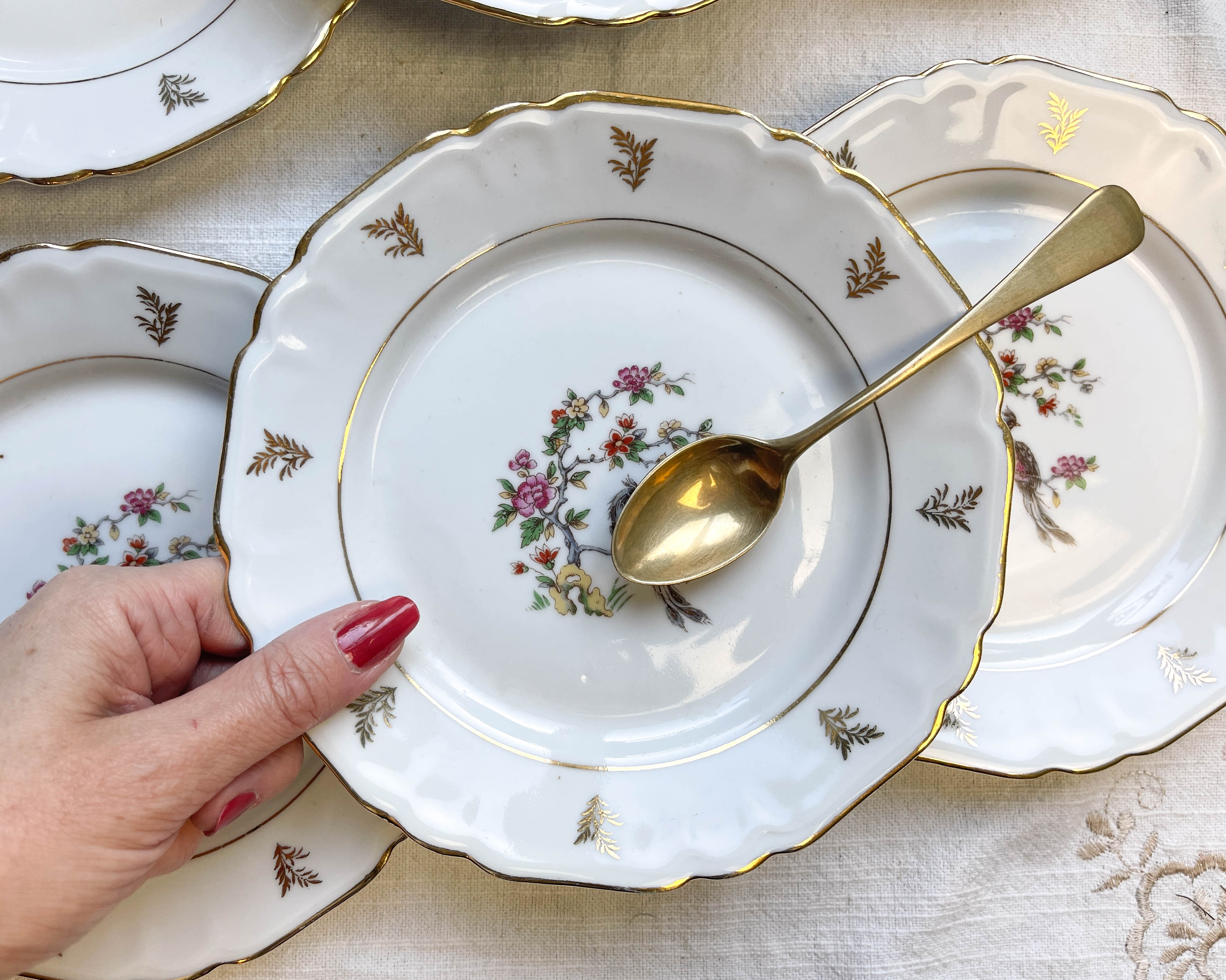 6 Limoges Berry porcelain plates with bird of paradise motif