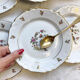 6 Limoges Berry porcelain plates with bird of paradise motif