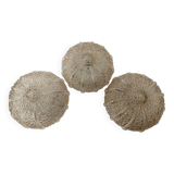 Ceiling lights