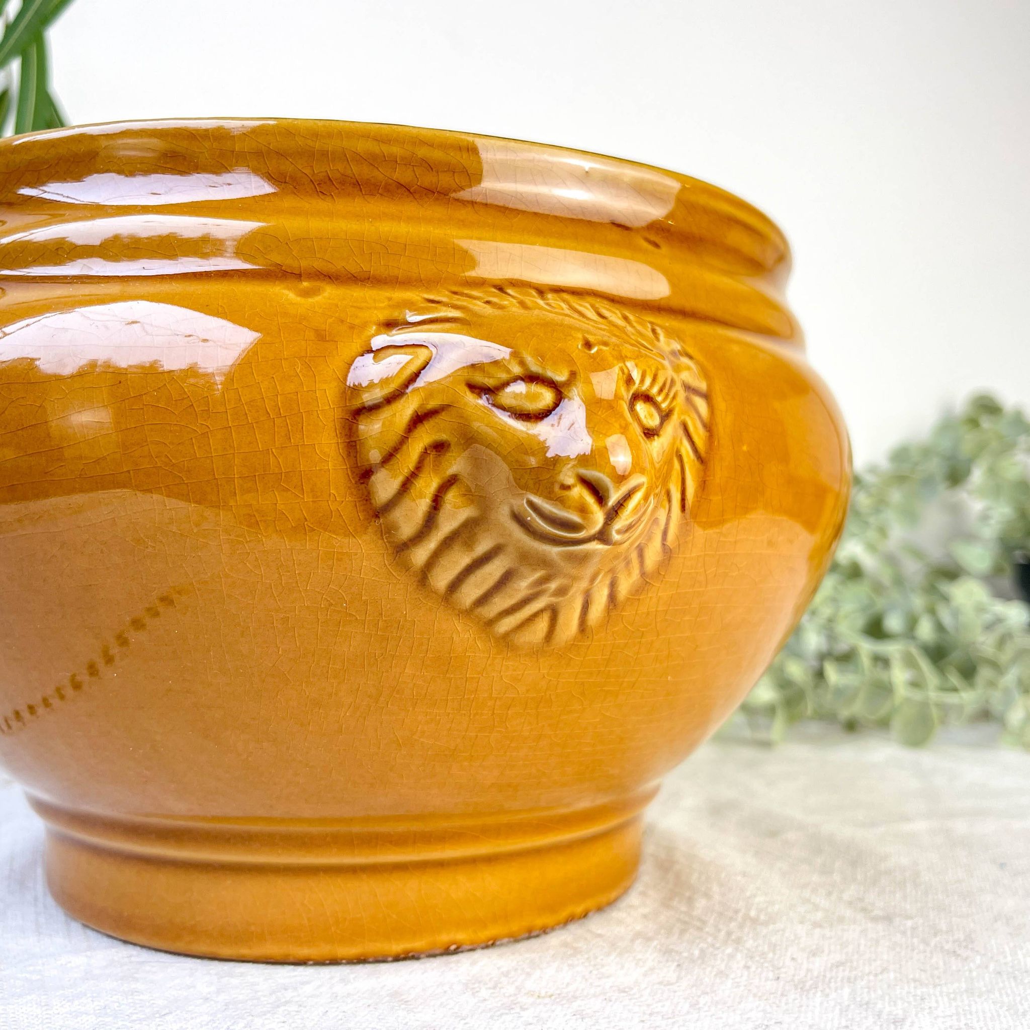 Vintage Ceramic Lion Head Soup Tureen - Honey, Made in France