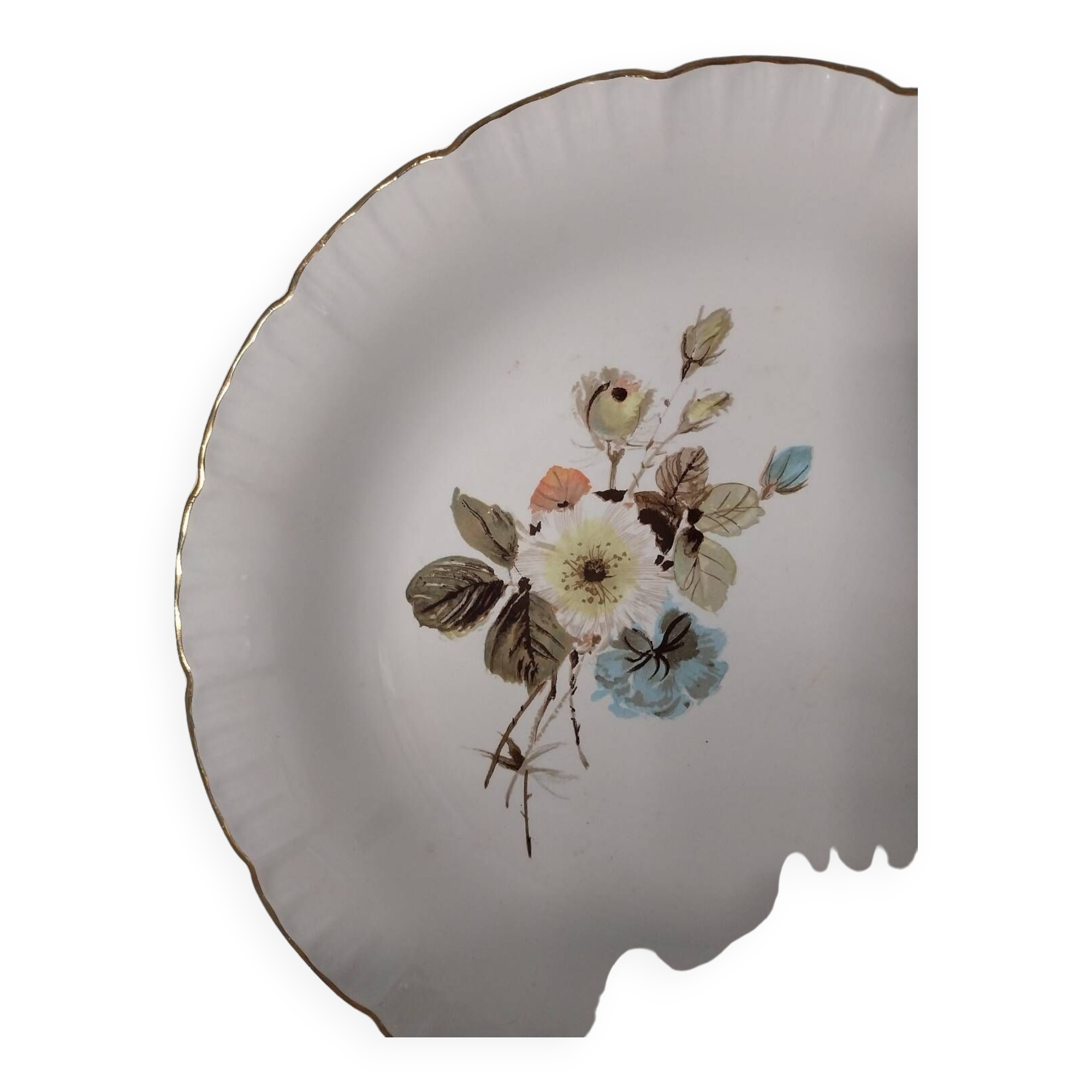 12 Digoin Sarreguemines dinner plates