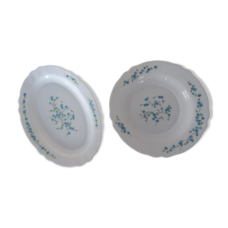 2 dishes veronica blue flowers Arcopal France 177102