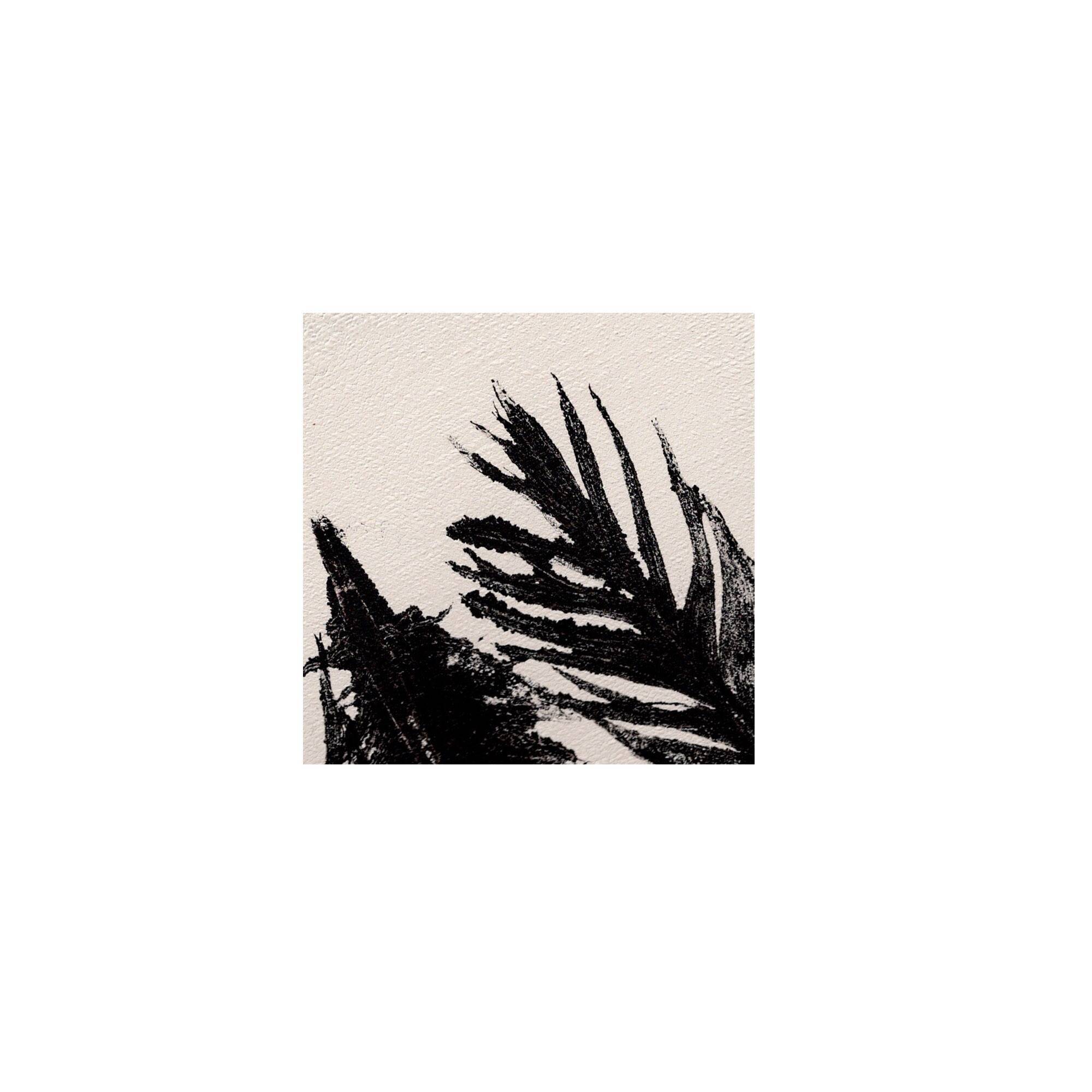 Contemporary painting on paper - black feathers - signed Eawy