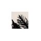 Contemporary painting on paper - black feathers - signed Eawy