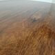 Fine quality 19th century William IV rosewood breakfast tilt-top table – c.1820