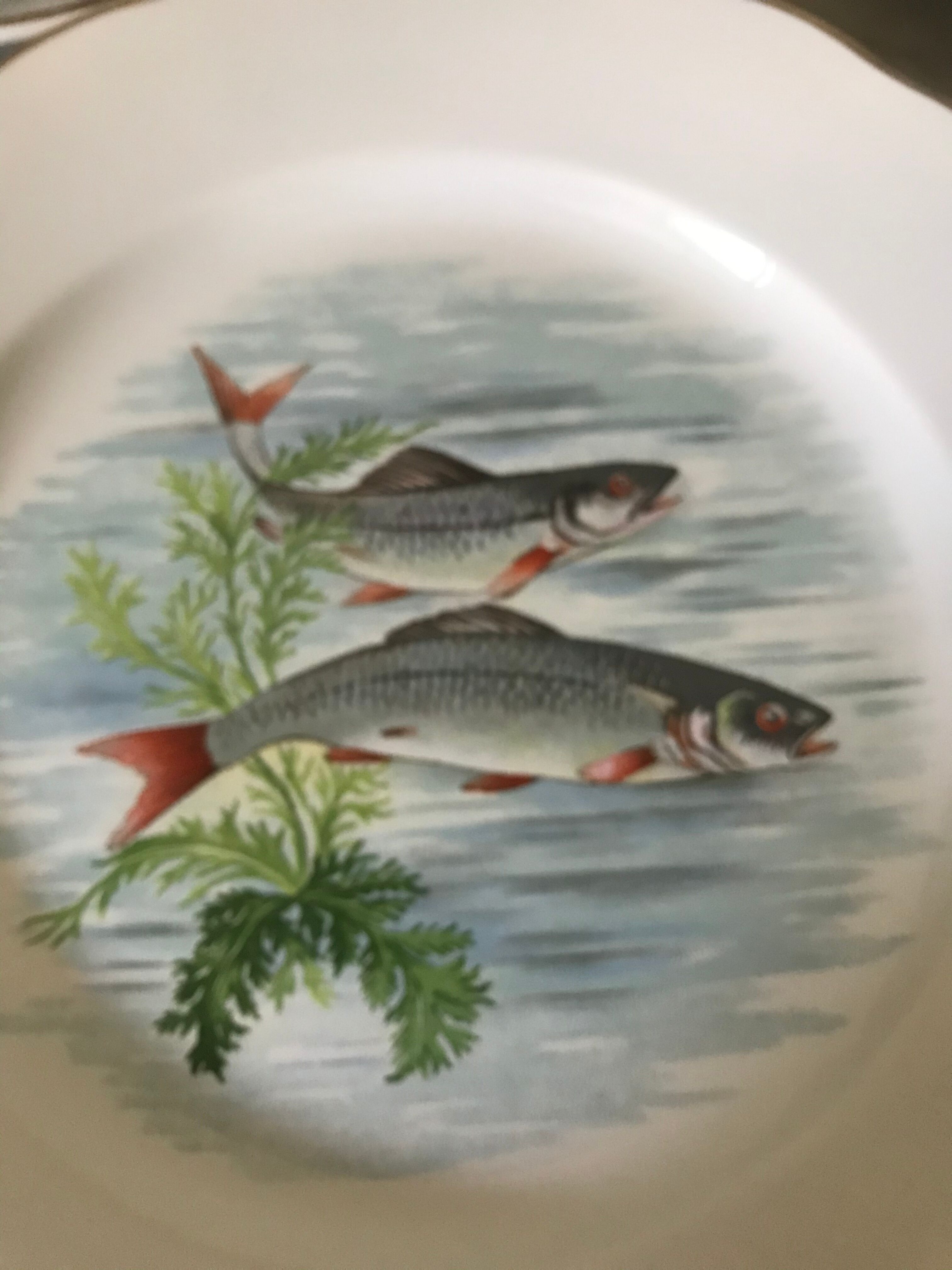 12 Digoin plates - Sarreguemines