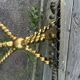 Louis XIII style gueridon, gilded legs, trilobed top.