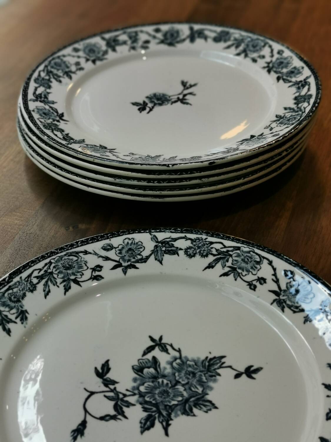6 Pexonne "Paquerette" flat plates