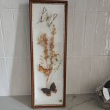 Butterflies frame