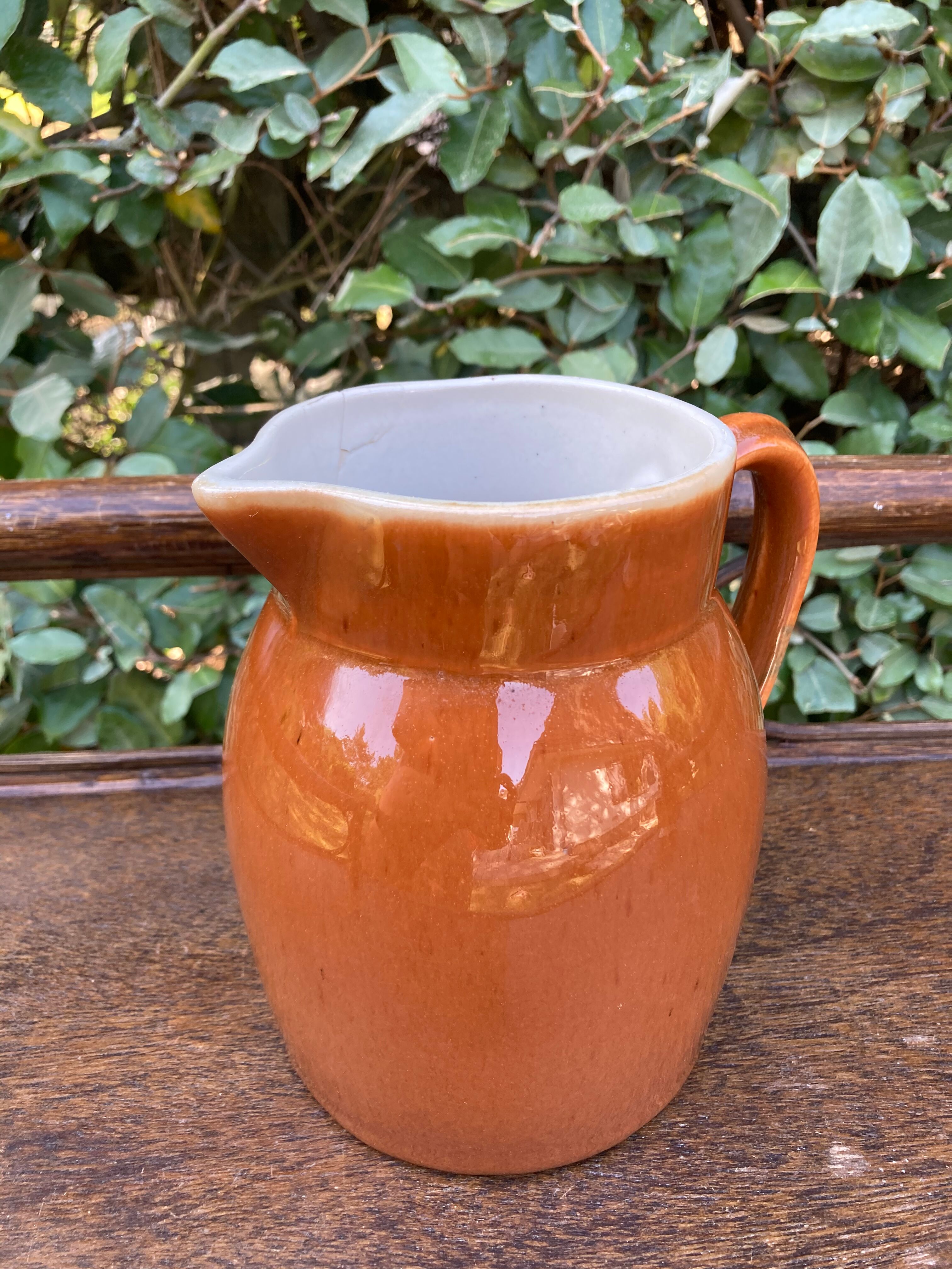 Small pitcher with brown water