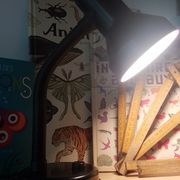 Articulated desk lamp 80