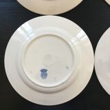 Set of 4 tulip-decorated plates