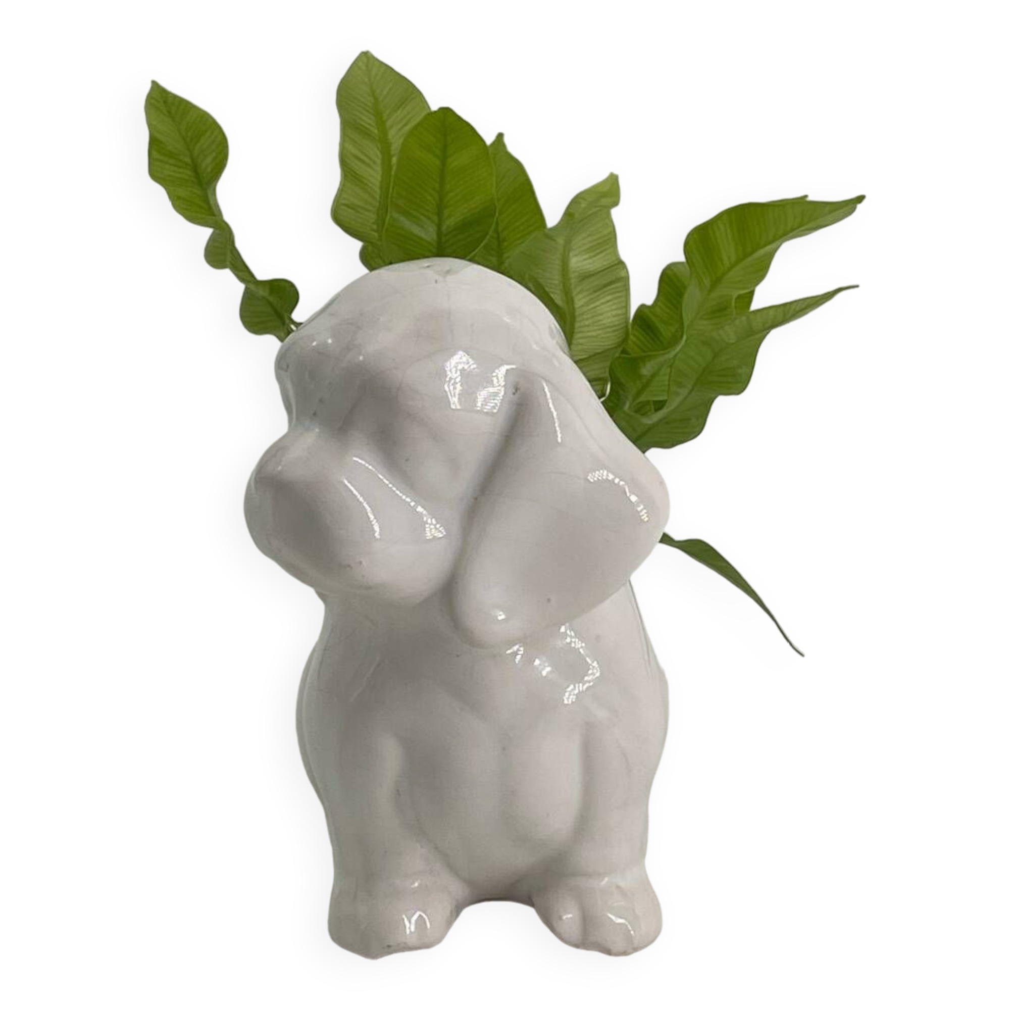 Cache pot chien en porcelaine blanc vintage