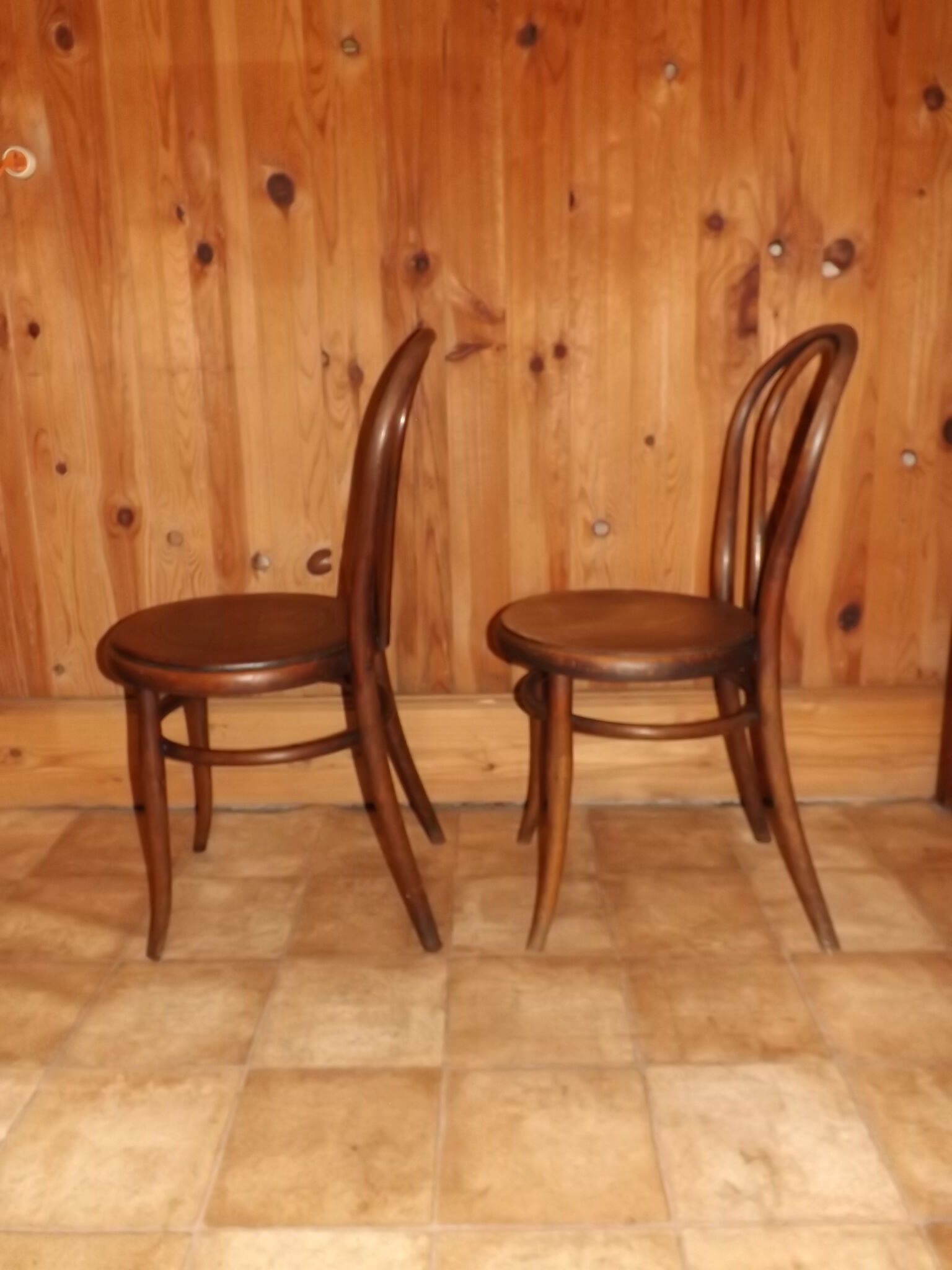 Chaises Thonet en bois courbé modèle n 18