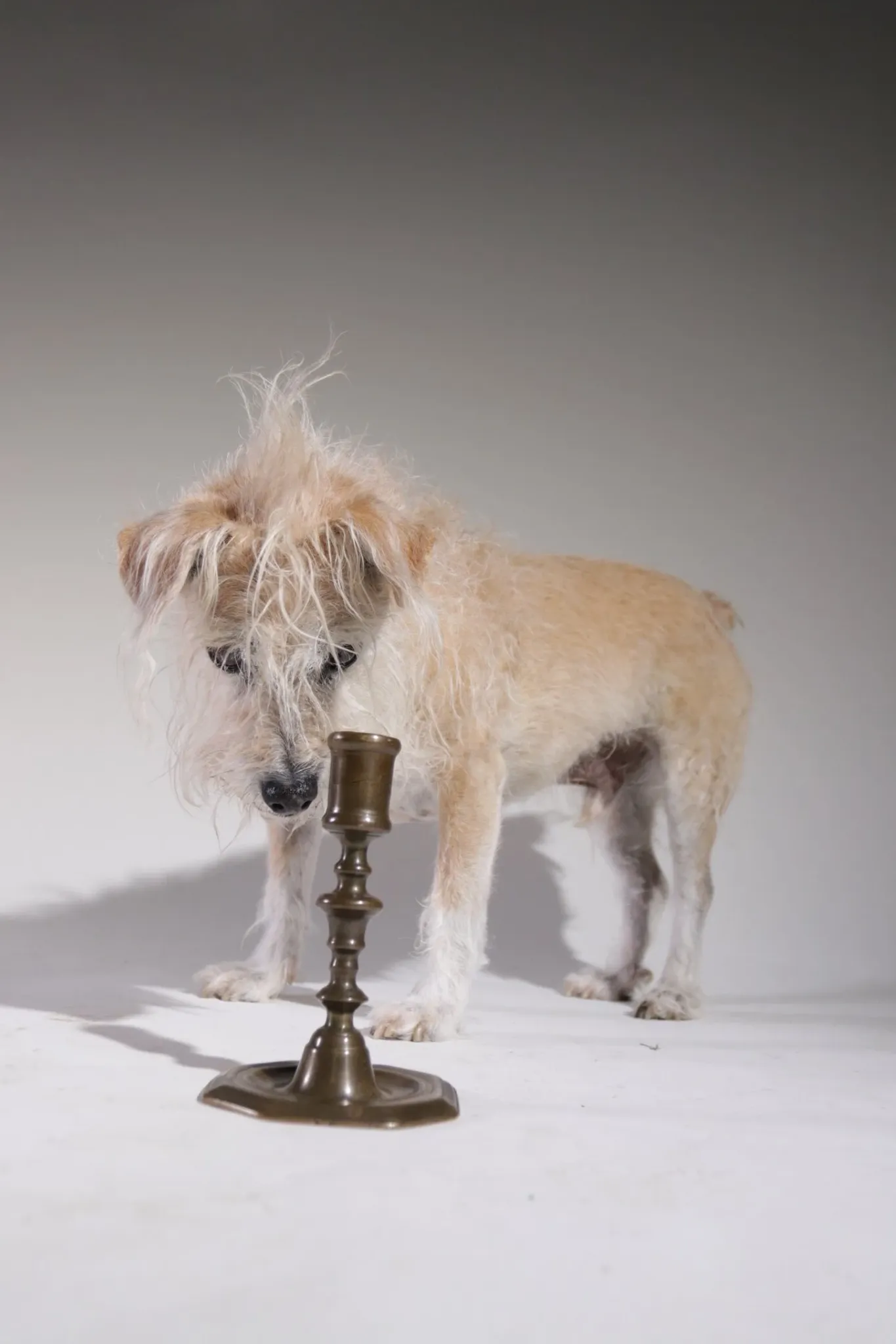French 18th-century brass candlestick – Louis XV
