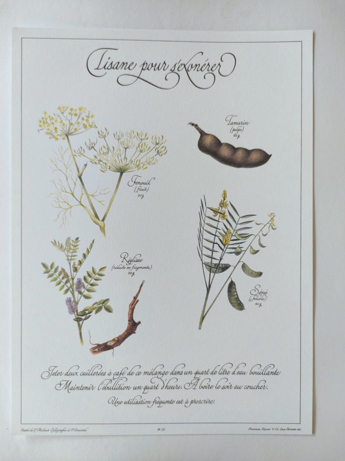 Botanical engraving -Herbal tea to exonerate- Illustration of medicinal plants and herbs