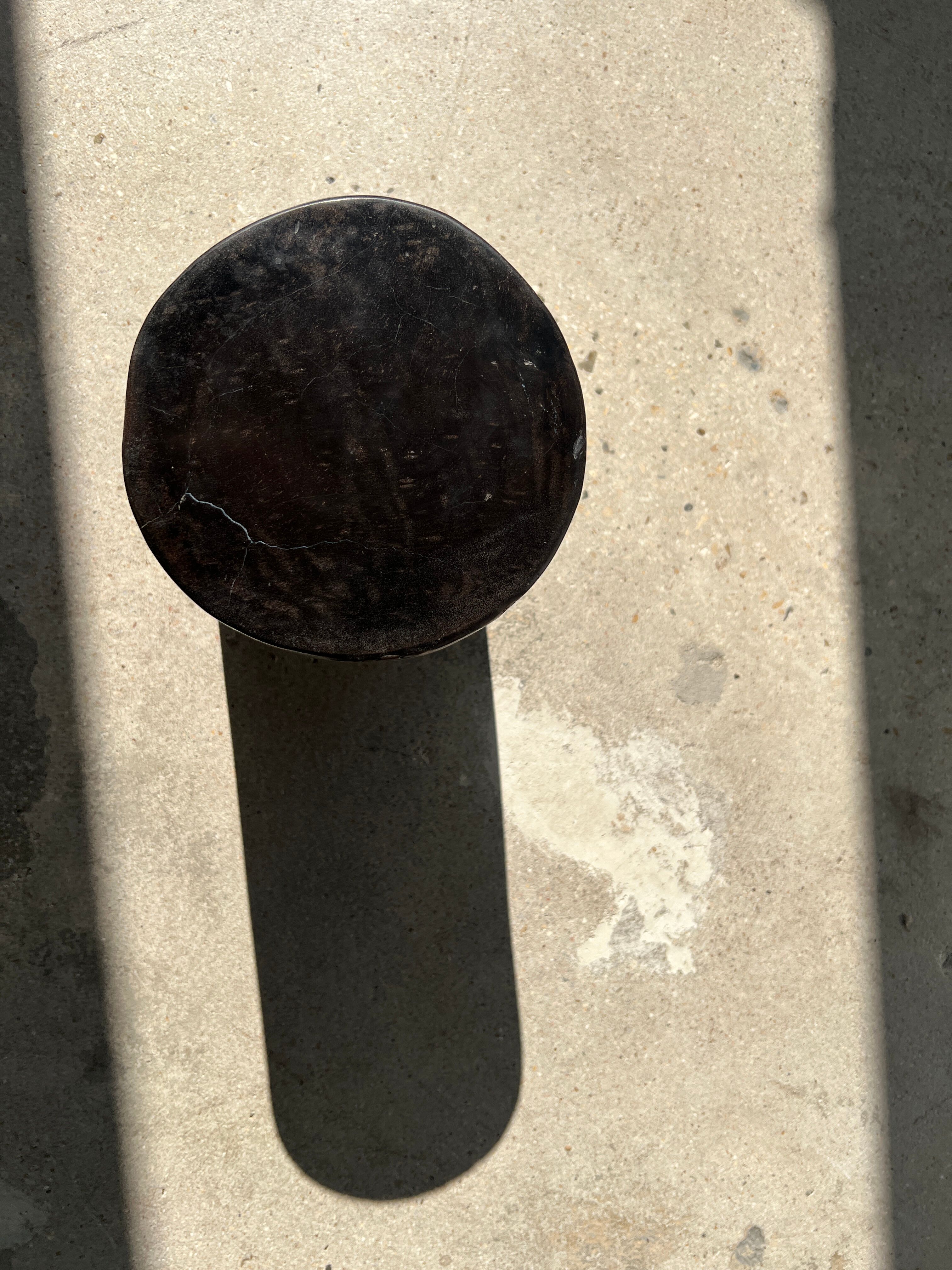 Side table in black petrified wood h:28,5cm d:17cm