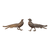 Couple of pheasant roosters