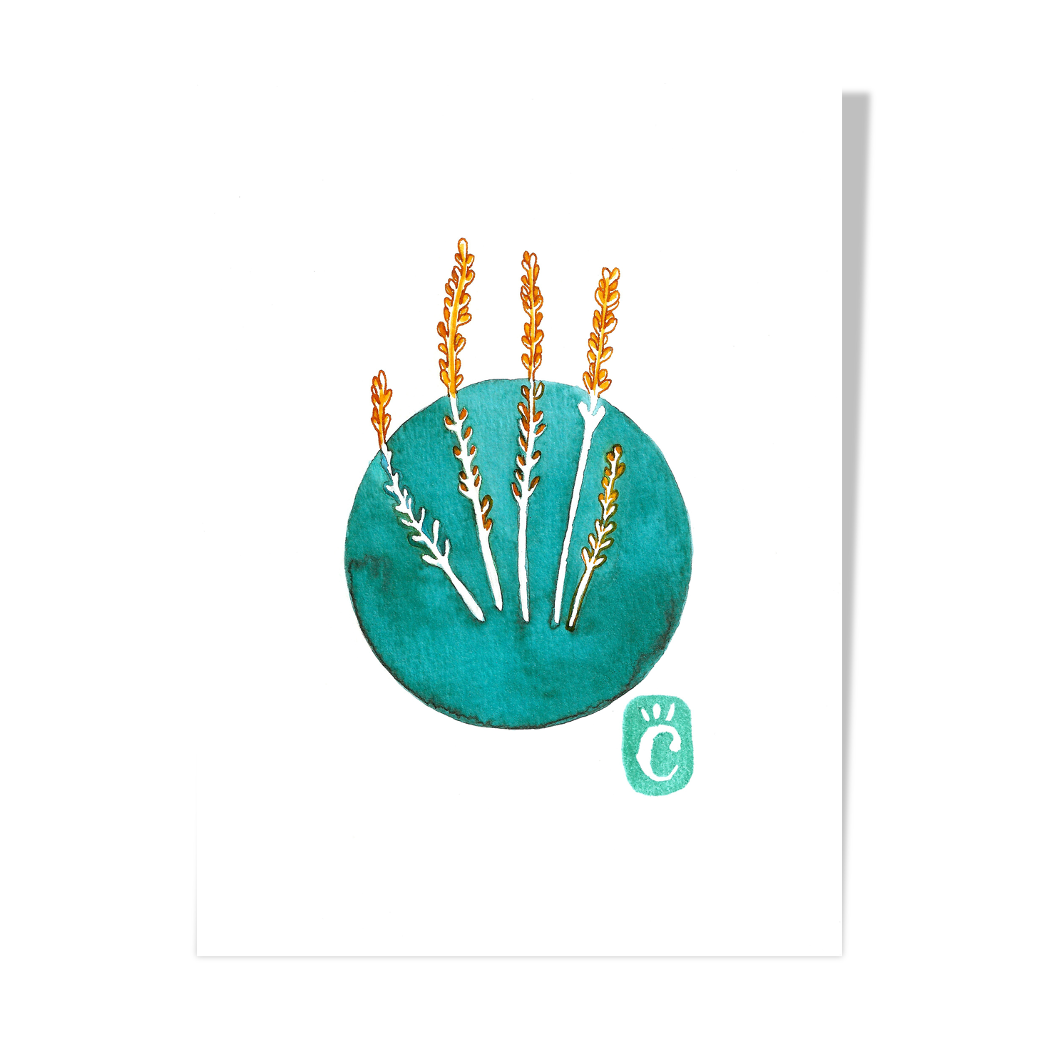 Heath - winter flower series