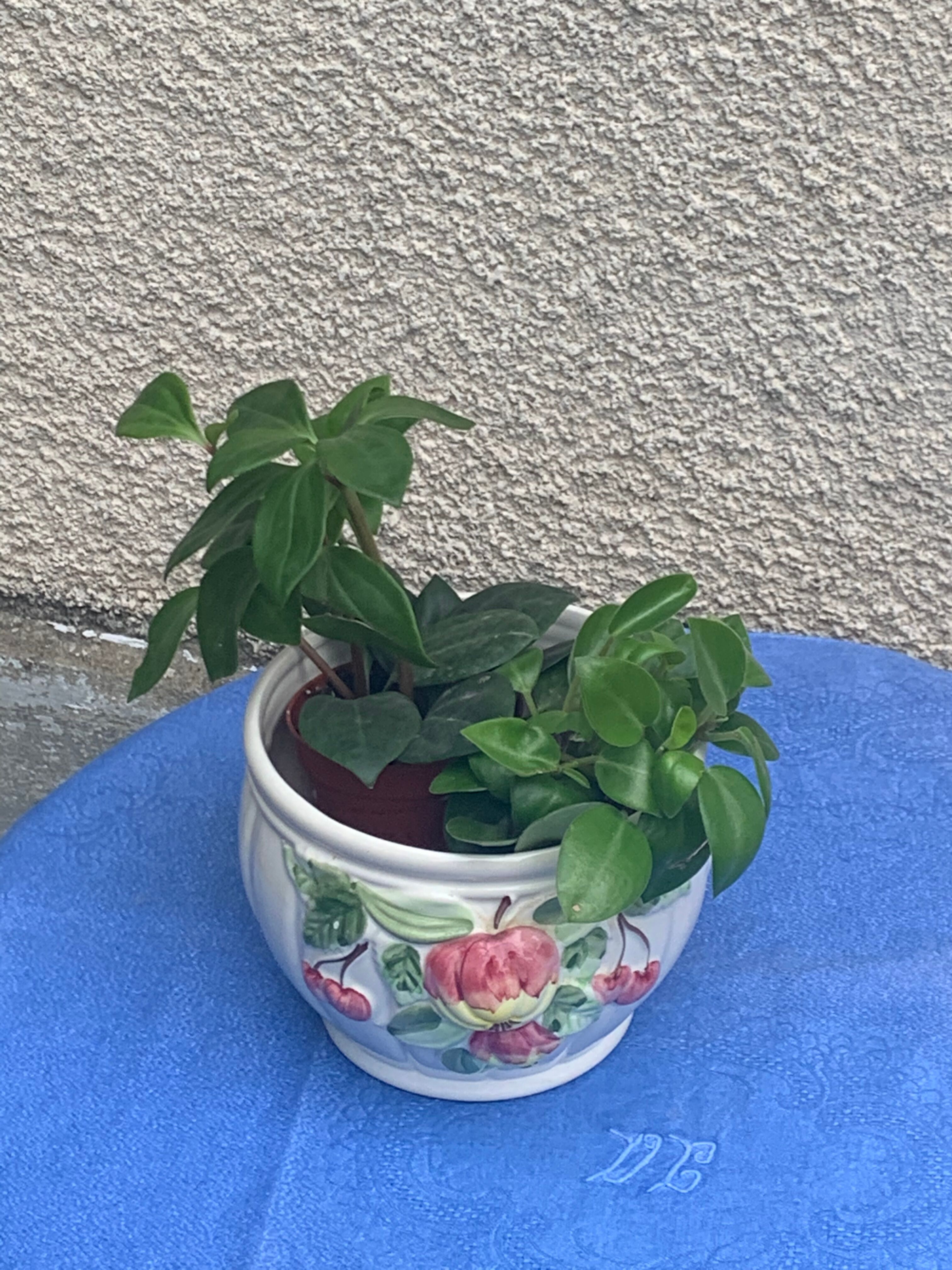 White glazed ceramic pot cover slurry vintage fruit