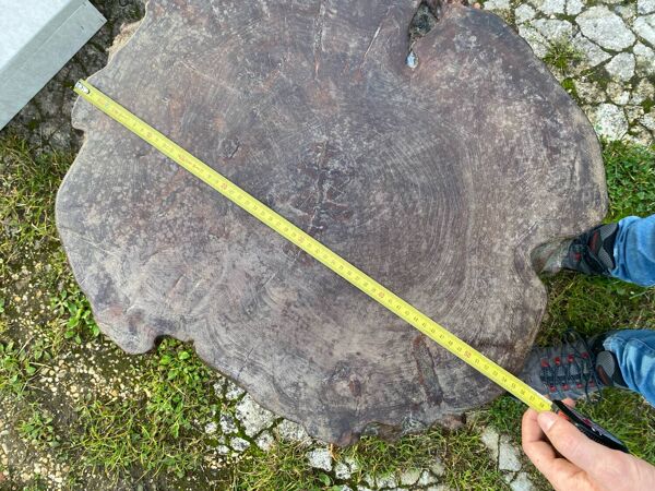 Table basse rondin Loupe d'orme? travail brutaliste années 60 70