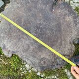 Coffee table log Elm burl? brutalist work 60s 70s