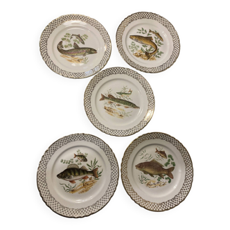 Série de 5 assiettes motifs de poissons, vintage