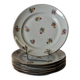 6 dessert plates in French porcelain in good condition.