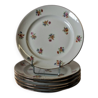6 dessert plates in French porcelain in good condition.
