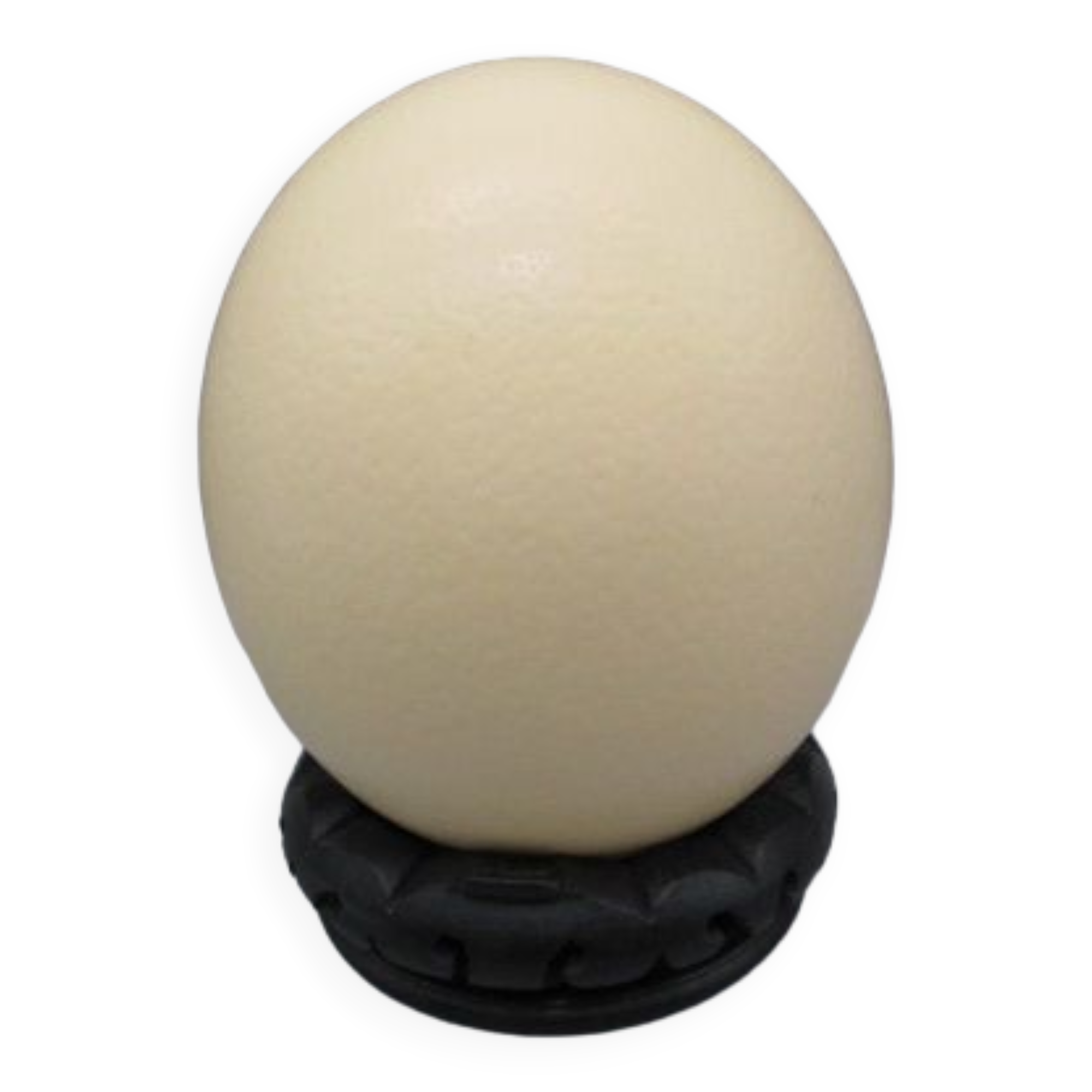 Ostrich egg on pedestal