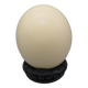 Œuf d'autruche sur socle