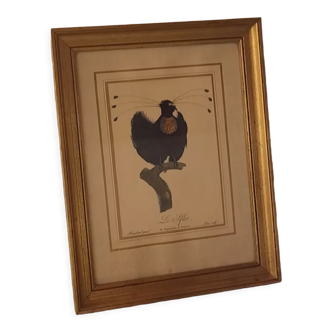 Bird engraving