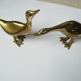 Couple of ducks brass