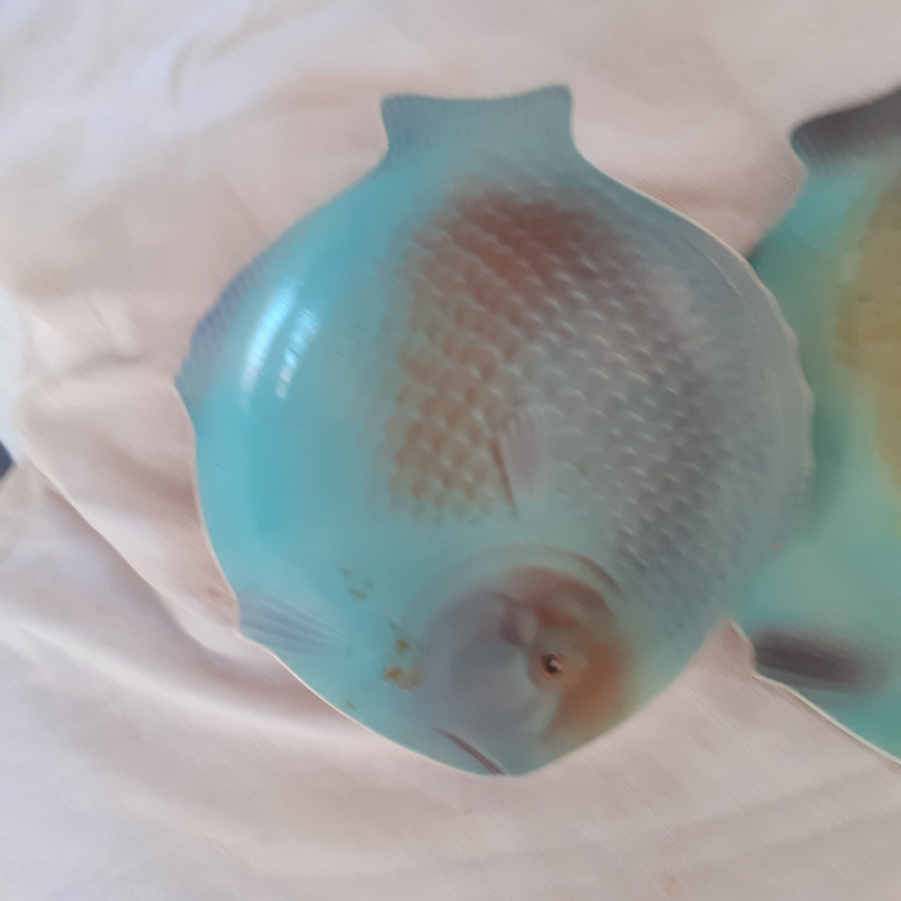 2 Fish plates. Shorter and son. England