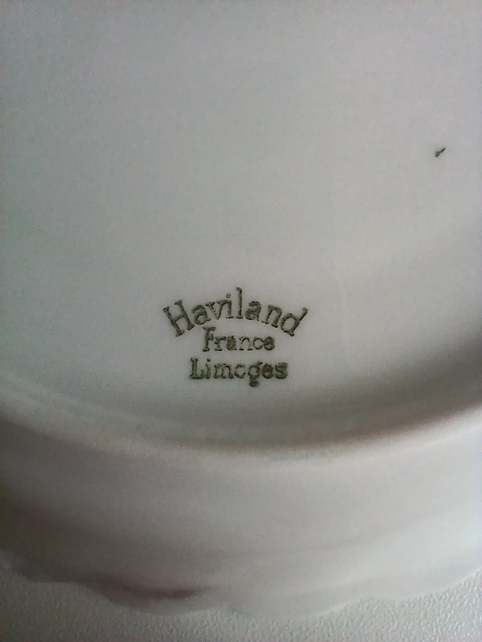 Limoges porcelain Haviland France