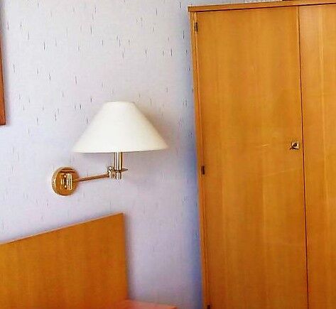 Set of two vintage chic brass arms appliques