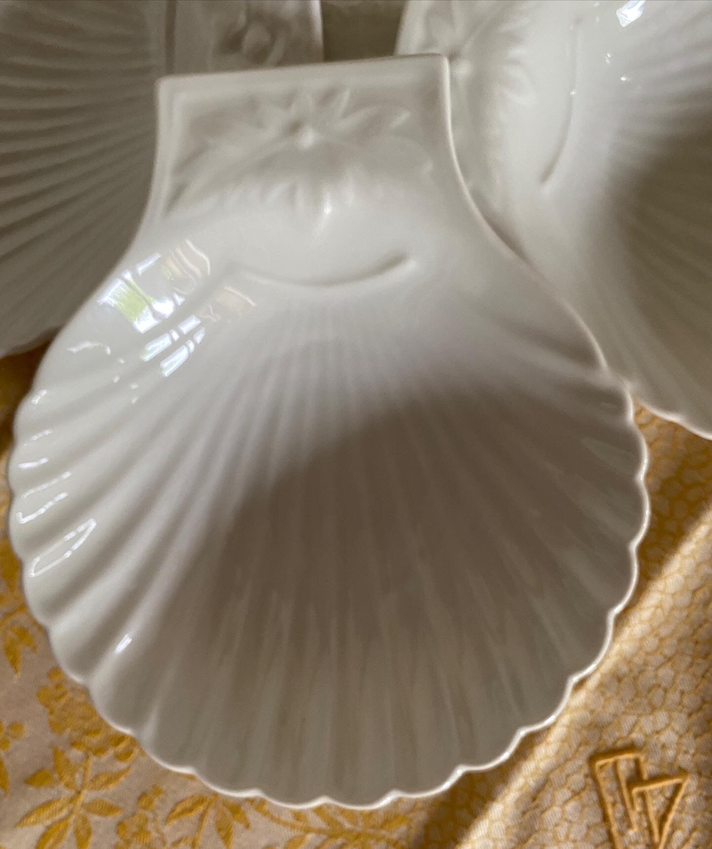 4 cups "scallop shell" Apilco
