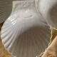 4 cups "scallop shell" Apilco