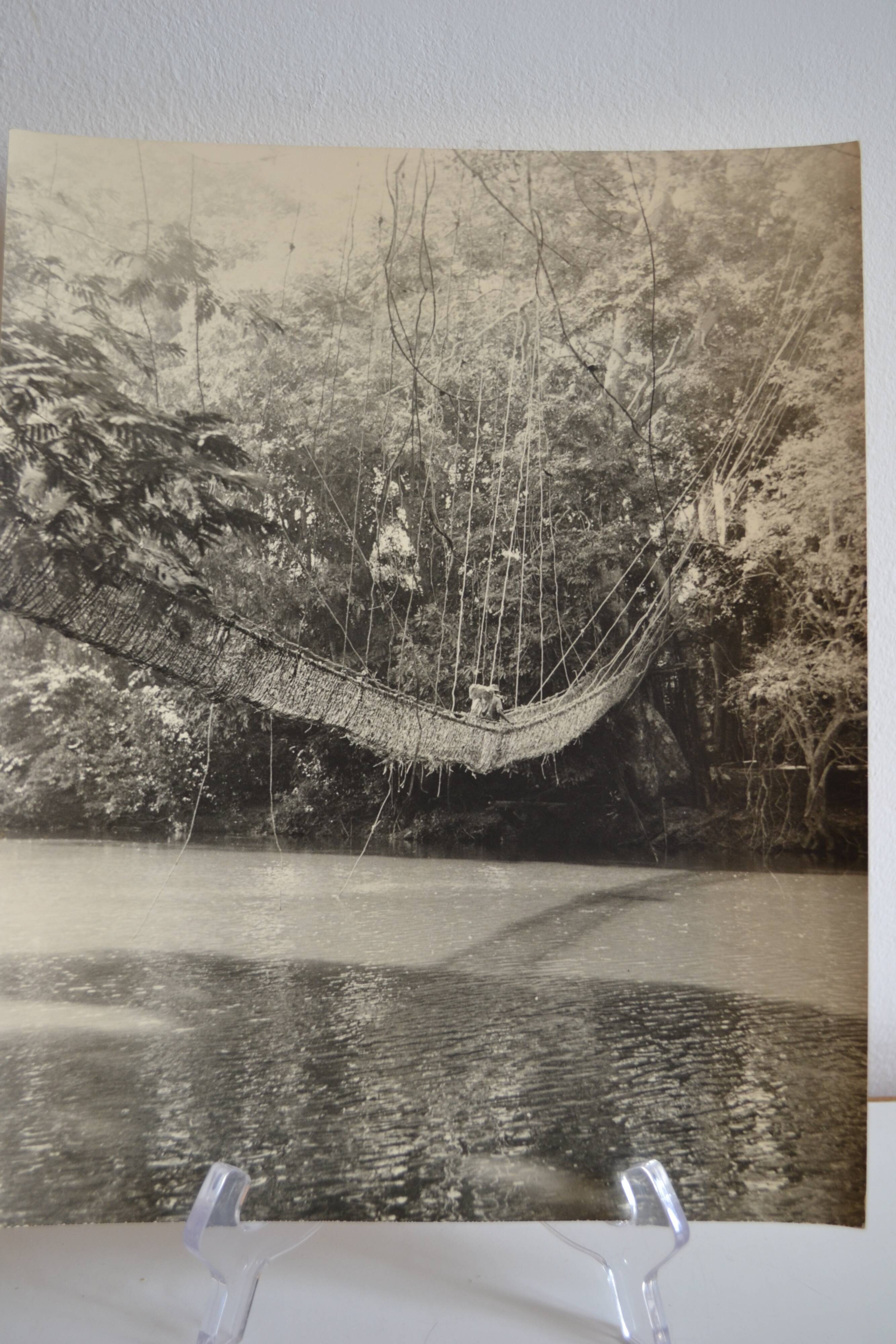 Anonymous silver photo africa gabon lianes bridge circa 1970