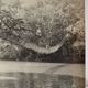 Anonymous silver photo africa gabon lianes bridge circa 1970