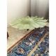 Contemporary Venetian Sunflwer Murano Glass Green Flush Mount