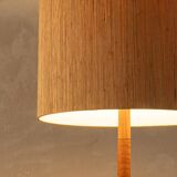 1960s floor lamp