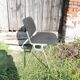 Antique DSC 106 Piretti-Castelli Chairs