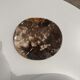 Dish in petrified wood