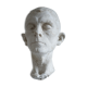 Plaster head