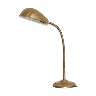 Shell table lamp