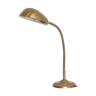 Shell table lamp