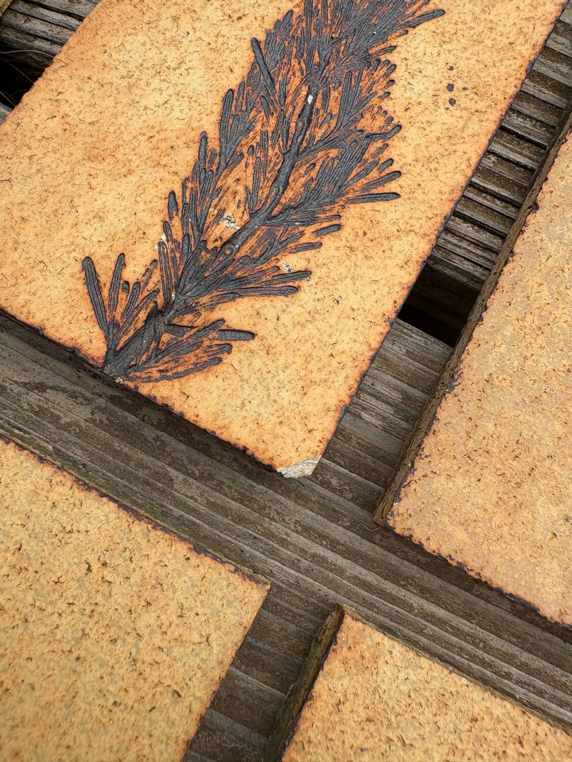 Set of 52 Vallauris herbarium tiles signed Capron