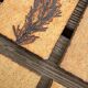Set of 52 Vallauris herbarium tiles signed Capron