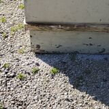 Grocery counter from the 30s